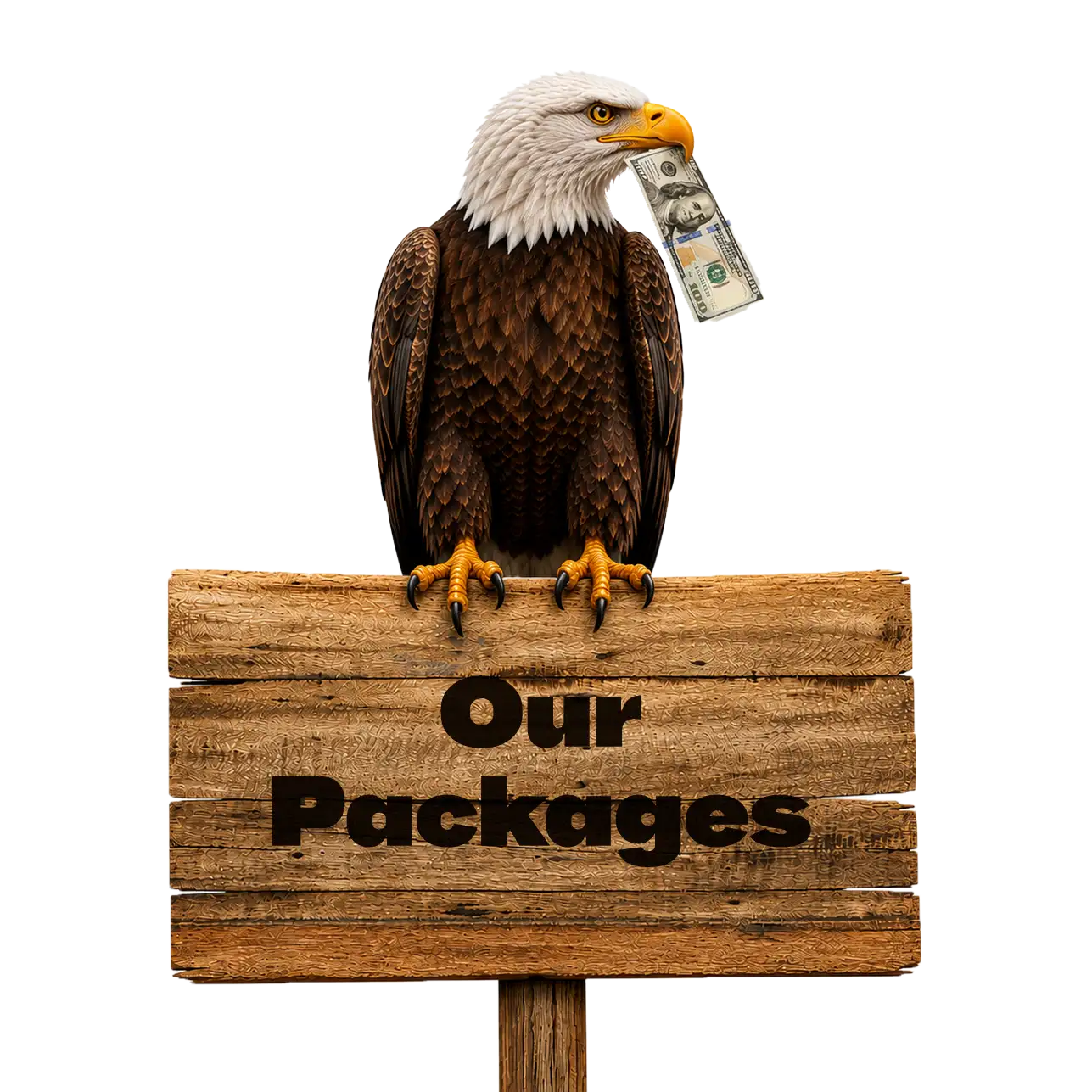 Packages Eagle Graphic