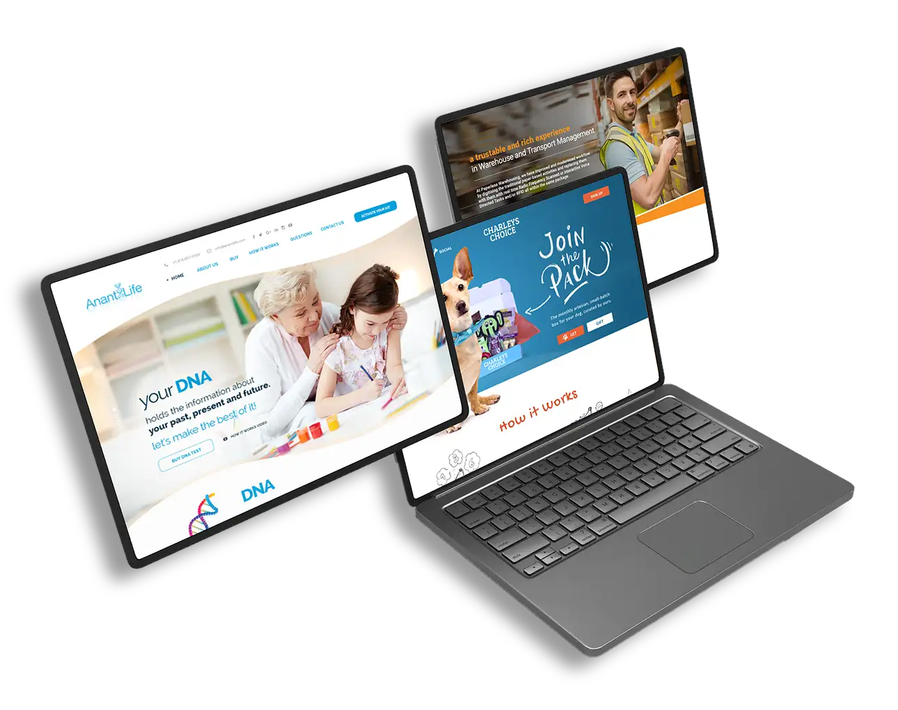Awards & Portfolio Laptops